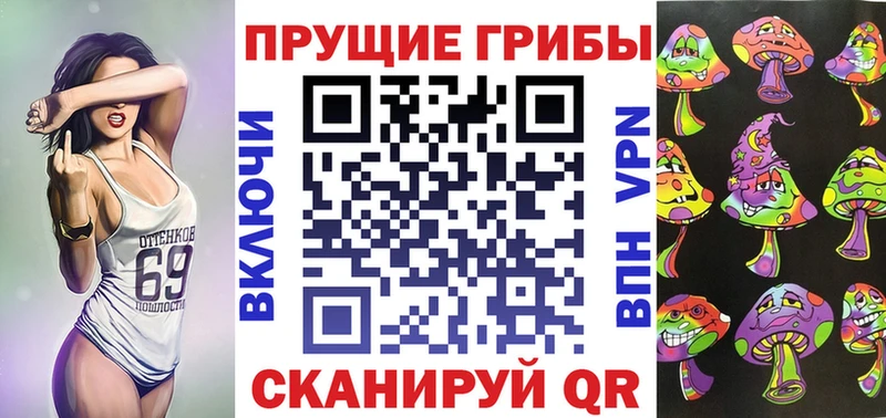 Псилоцибиновые грибы Magic Shrooms  где можно купить   darknet Telegram  Ессентукская 